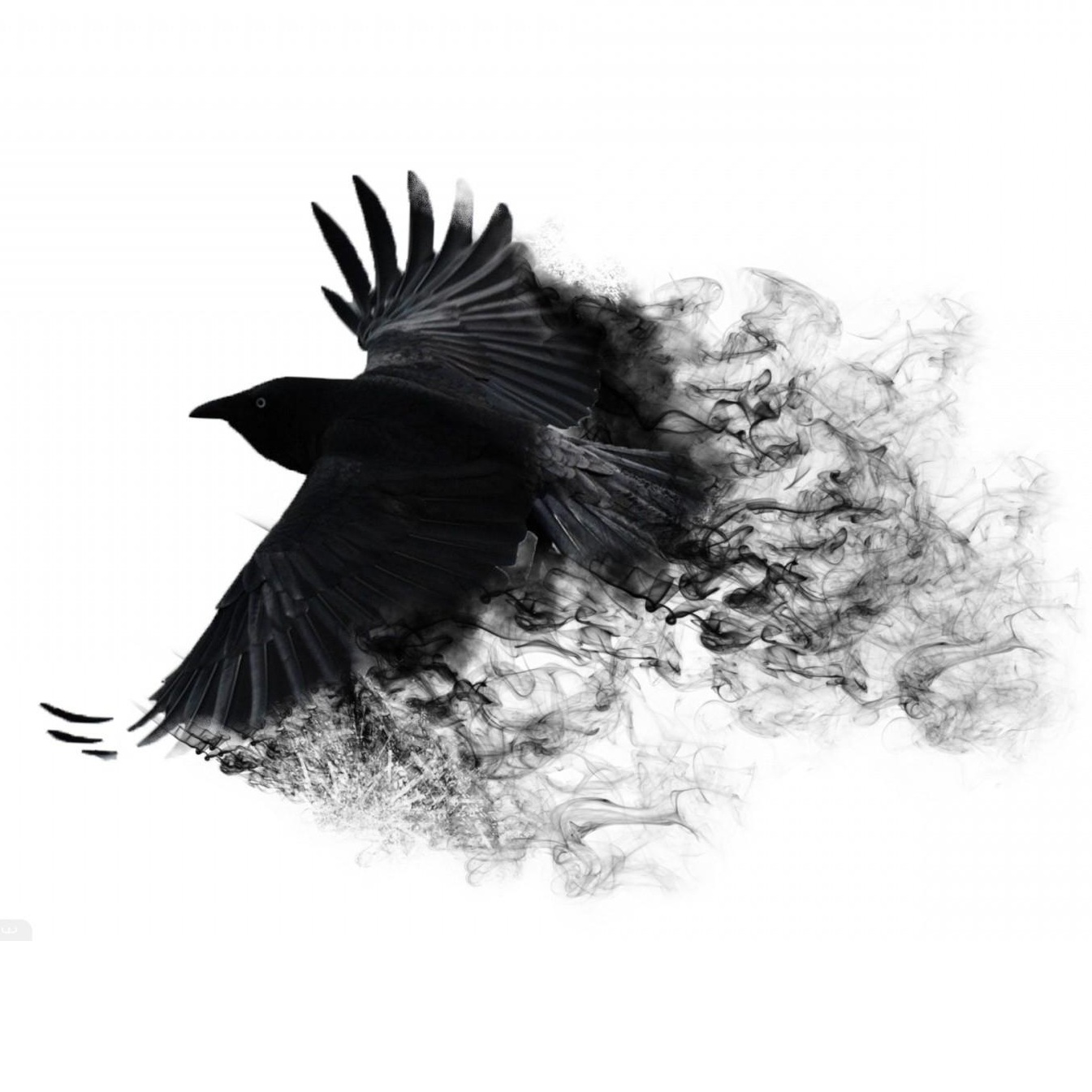 SUPERSTITIONS ABOUT BIRDS SUPERSTITIONS ABOUT BIRDS